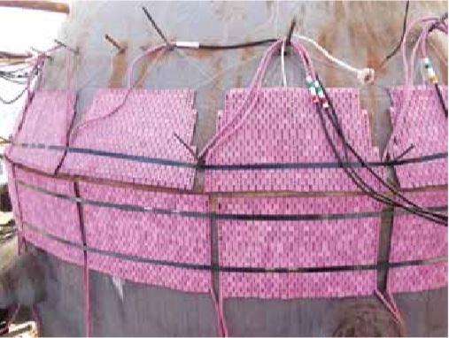 环缝香蕉视频日本黄色网页现场